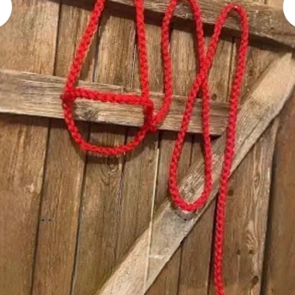 Horse/livestock halters, dog leashes- collars, headstall,and more. .. - Picture 11 of 12